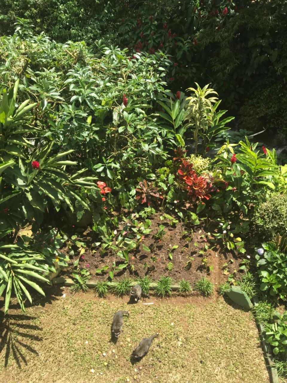 Hospedaje Angeluz Quesada  Esterno foto